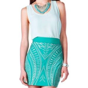 NWT Mint Green Embroidered Skirt from Francesca's